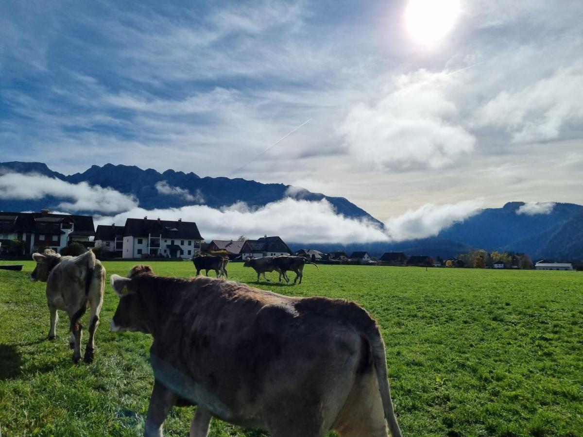 Urlaub Am Bauernhof Bei Familie Steinbrecher Bad Mitterndorf Exterior photo