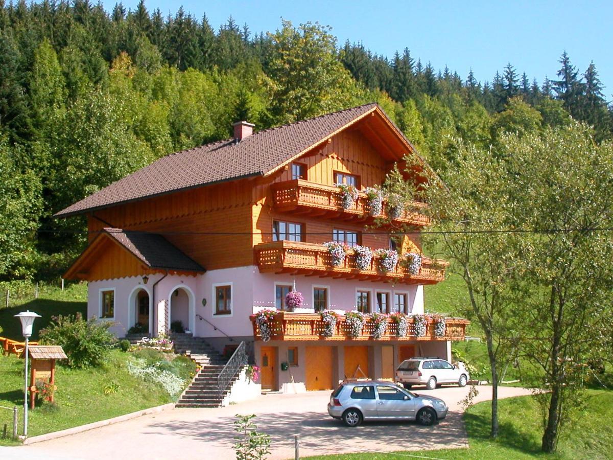 Urlaub Am Bauernhof Bei Familie Steinbrecher Bad Mitterndorf Exterior photo